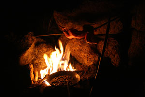 Rabbit and pinon nuts roasting